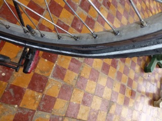 P1010750-rim-2