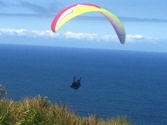 Andrew_new_wing-IMG_0371