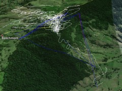 Beechmont-flight-131031