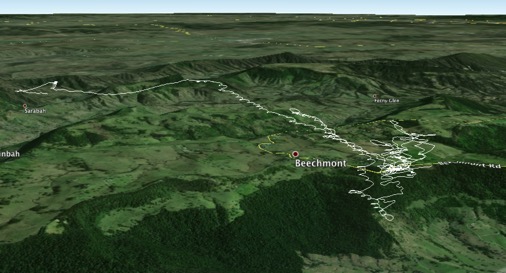 Beechmont_T6_flight
