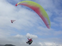 IMG_0425 (1)
