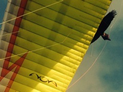 IMG_0805-2014-08-16at16-44-00