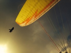 IMG_0808-2014-08-16at16-44-09