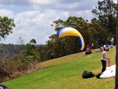 Mt_Tamborine_DSC_2859