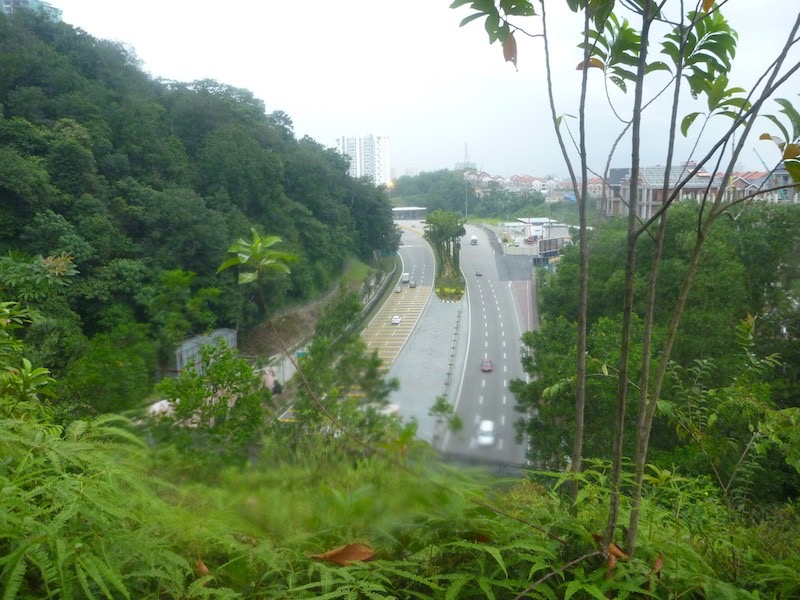 The view when we broke out of jungle