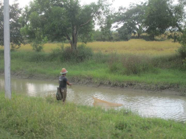 A fisherman casting his net into the canal