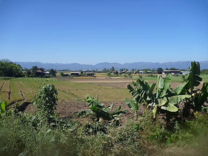 A view across the field on the ride down the east side of the lake.