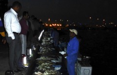 2013-03-19 at Qatar (5)