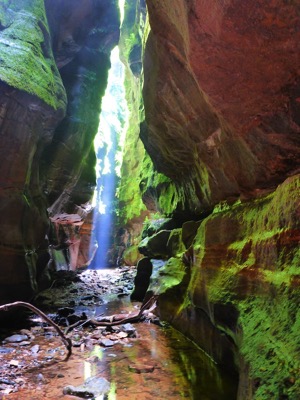 Claustral Canyon Jan 2014__33-2013-01-27at02-03-22