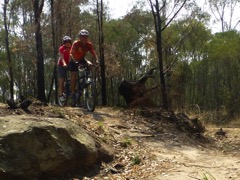 Yellowmundy_MTB-P1030698