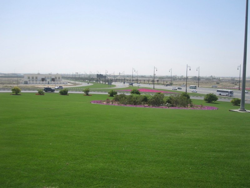 <p style="text-align:center;"><span style="font-size:11px; color:#404040;">A landscaped roundabout. Dave&rsquo;s design??</span></p>