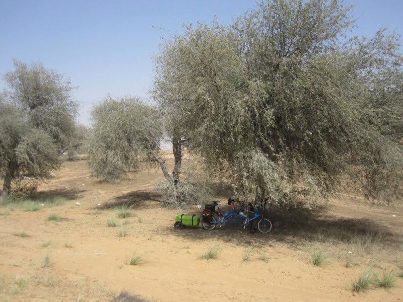 <p style="text-align:center;"><span style="font-size:11px; color:#404040;">It is desert and hot </span></p>